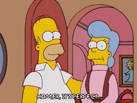 homer simpson GIF