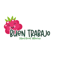 Berries Sticker by hortifrutMexico