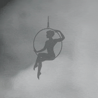wilabfitness wilabfitness wilabfitnessaerial wilabfitnessaerialhoop GIF