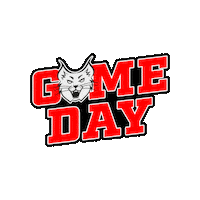 Sticker by Perth Lynx