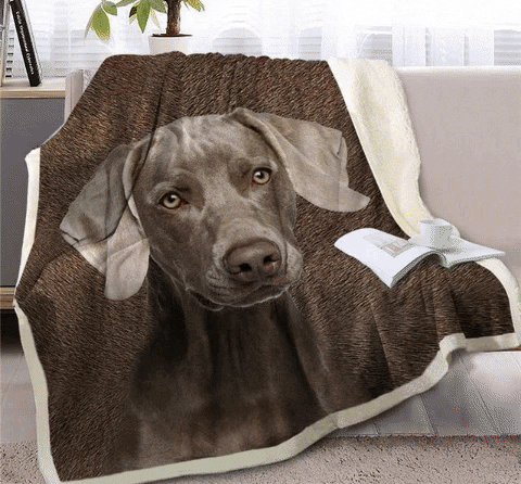 iLoveMyPet giphyupload weimaraner gifts weimaraner gifts and collectibles GIF