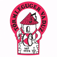 Party Musik GIF by Törmleguger