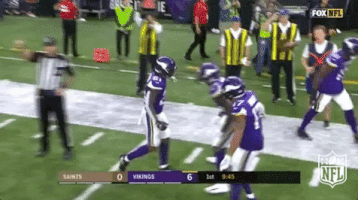 Minnesota Vikings Football GIF by NFL