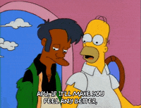 homer simpson episode 13 GIF