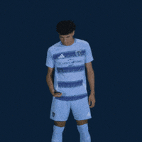 Major League Soccer Football GIF by Sporting KC