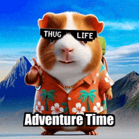 Explore Adventure Time GIF by Guinea Gambino