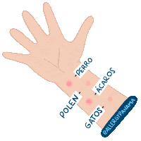 allergypanama allergypanama allergy panama drrosellaleeng dr rosella lee ng Sticker