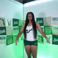 South Florida Horns Up GIF by USF Athletics