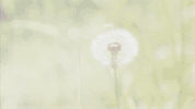 Day And Night GIF by Carly Rae Jepsen