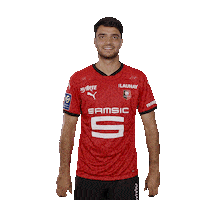 Ligue 1 Love Sticker by Stade Rennais F.C.