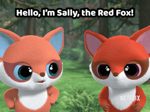 Red Fox GIF by YooHoo to the Rescue