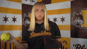 Loyola Softball GIF by LoyolaRamblers