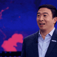 Andrew Yang Netflix GIF by Patriot Act