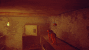 Cat GIF by Annapurna Interactive