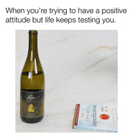 LeahVanDale cheers wine drinks salute GIF