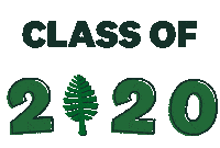 Dartmouth20S Sticker by Dartmouth College