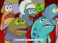season 4 GIF by SpongeBob SquarePants