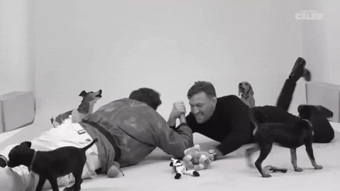 Jake Gyllenhaal Puppy GIF by BuzzFeed