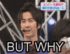 But Why GIF