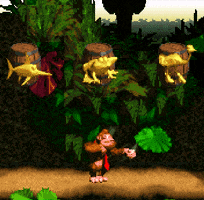 1jps gaming 90s snes dk GIF