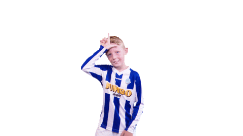 Voetbalvereniging_Scherpenzeel giphyupload sport voetbal bal Sticker