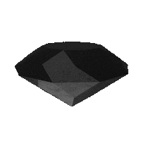 Auto Carbon Sticker by Autograph