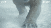 Bbc One GIF by BBC