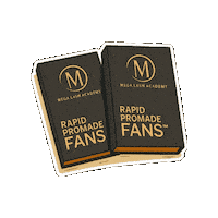 Lashes Sticker by Mega Lash Academy