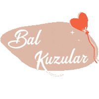 Mnks Kelimeler 4 Sticker