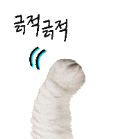 amorepacific_illiyoon scratchy illiyoon 일리윤 n리윤 Sticker