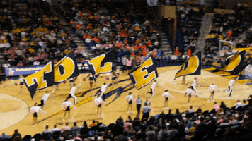 GIF by Toledo Rockets
