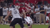 university of houston touchdown GIF by Coogfans