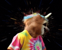 Early 2000S Ai GIF