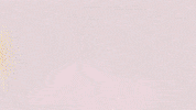 Football Sport GIF by FC Red Bull Salzburg