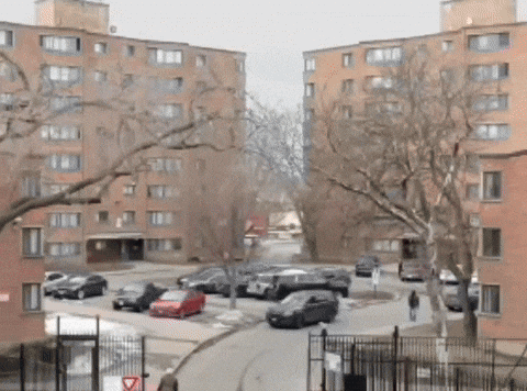 Anti Piracy King GIF