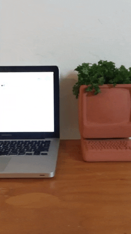 info-noons giphygifmaker GIF