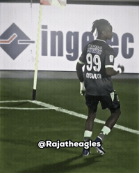 Raja Casablanca GIF