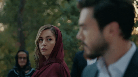 Sevda Erginci Fox GIF by Tüplü Televizyon