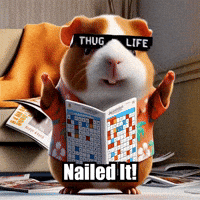 Celebration Success GIF by Guinea Gambino