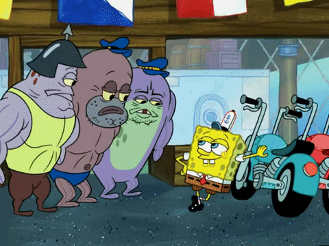season 6 GIF by SpongeBob SquarePants