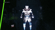 triple h wrestling GIF by WWE