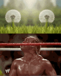 Wwe Omg GIF by JustViral