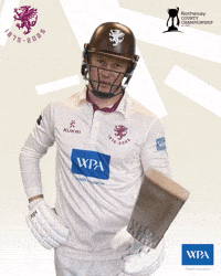 Ginger Cricketer GIF by Somerset County Cricket Club