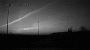 black and white love GIF