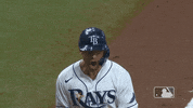 Excited Tampa Bay Rays GIF by MLB