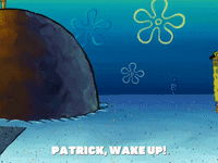 season 8 episode 3 GIF by SpongeBob SquarePants