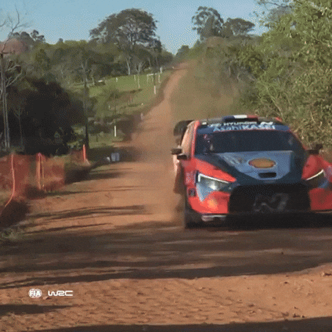 Sunday GIF by FIA World Rally Championship