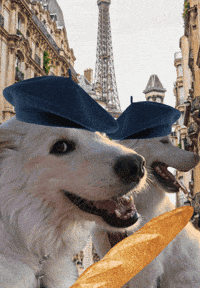 France Baguette GIF