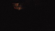 Season 1 GIF by Godfather of Harlem