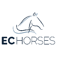 Horses Sticker by Daniel Harris